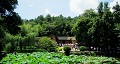 長沙出發(fā)到花明樓、韶山、張家界國家森林公園、天門仙山國家森林公園四日游